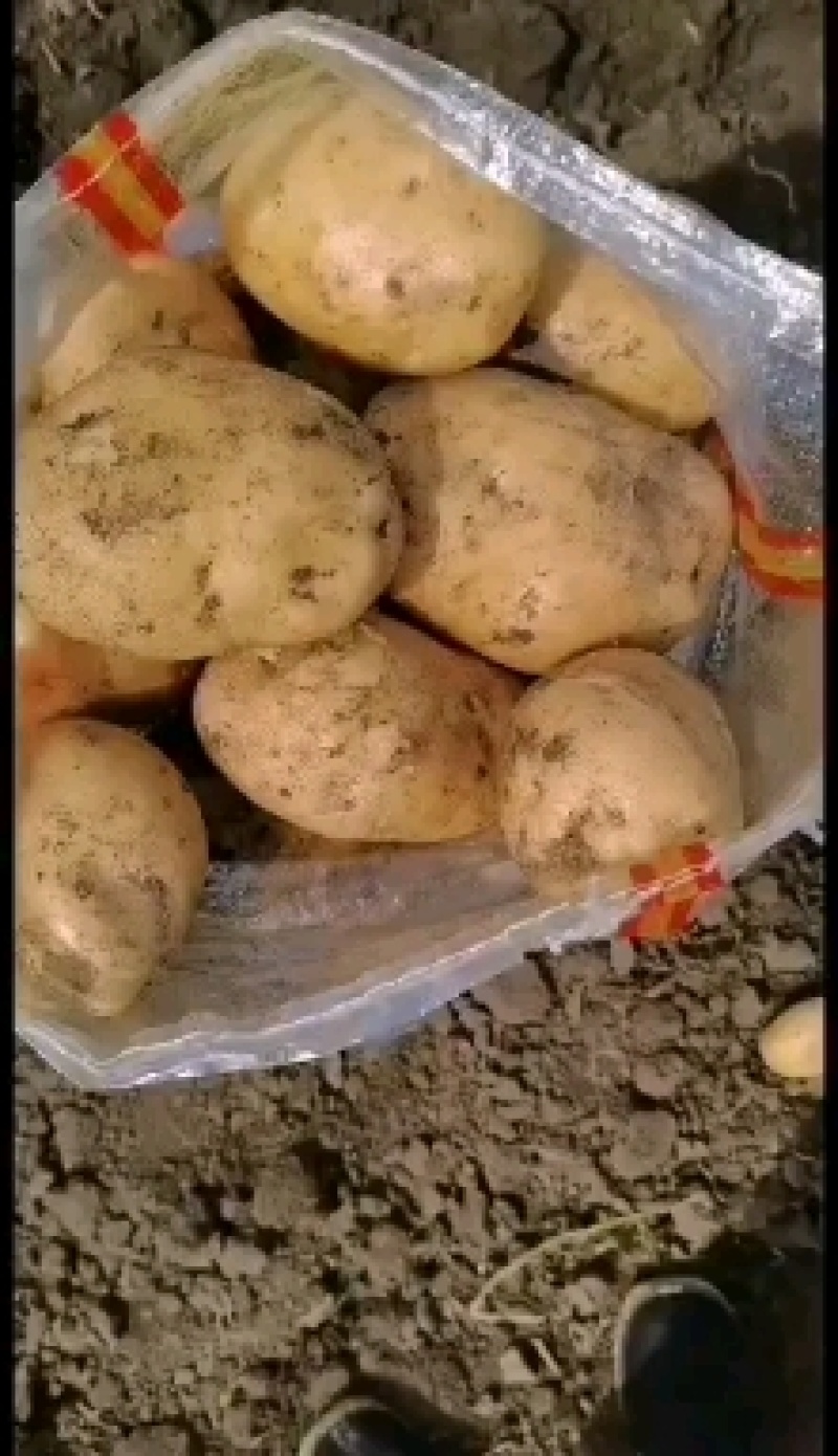 商品尤金885大量供应需要的来吧