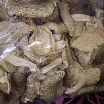 青头菌干，一手货源，一斤也是批发价包邮