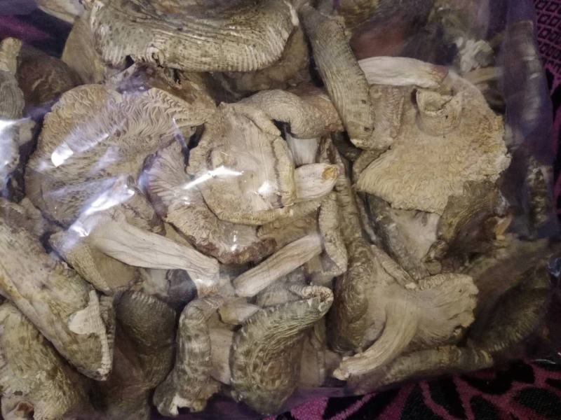 青头菌干，一手货源，一斤也是批发价包邮