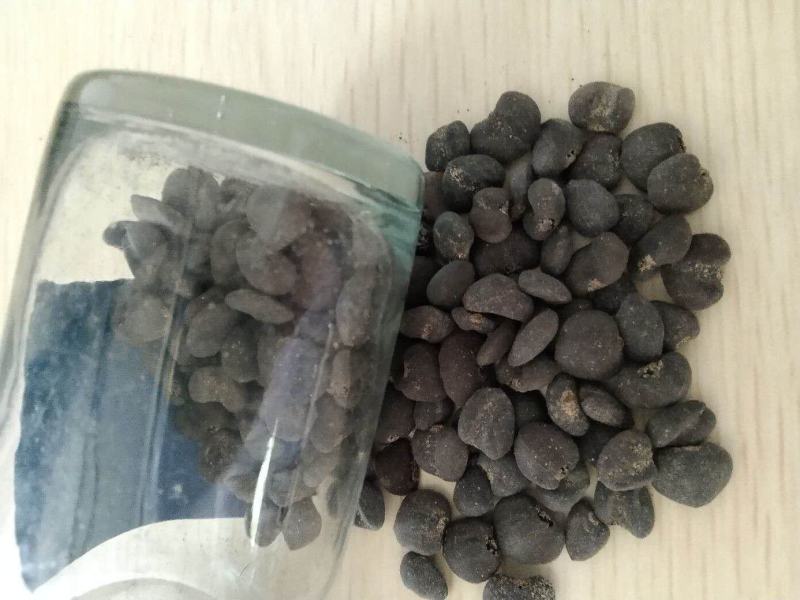 哪里的紫玉兰种子最好卖