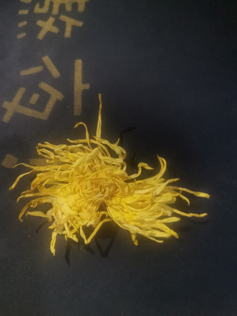 黄山贡菊金丝皇菊七月菊黄贡大黄菊散称散装批发种植自产自销
