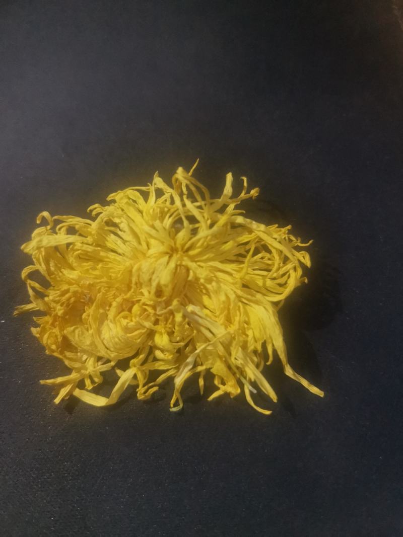 黄山贡菊金丝皇菊七月菊黄贡大黄菊散称散装批发种植自产自销