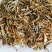 【优质好货】豌豆秧，量大从优，货源充足，现货供应！