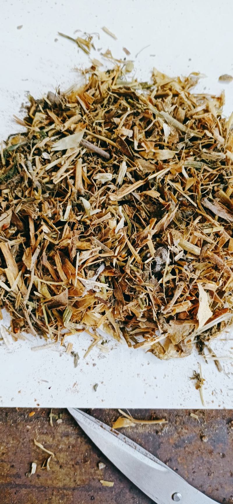 【优质好货】豌豆秧，量大从优，货源充足，现货供应！