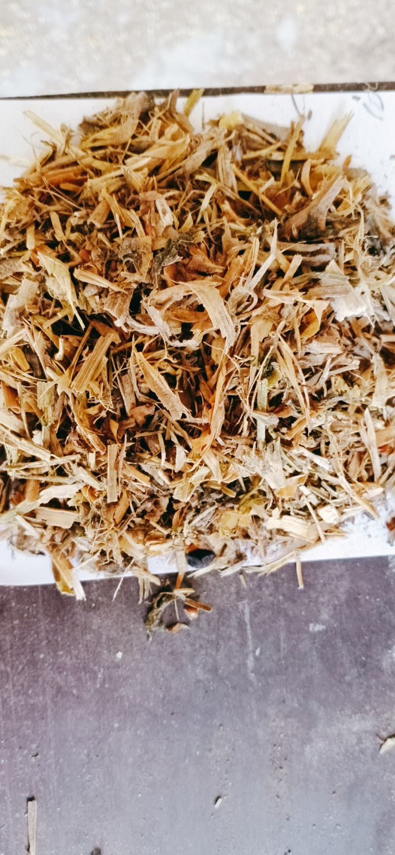【优质好货】豌豆秧，量大从优，货源充足，现货供应！