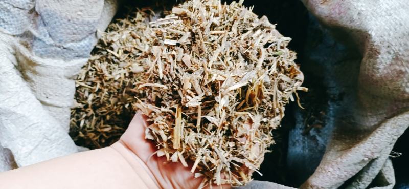 【优质好货】豌豆秧，量大从优，货源充足，现货供应！