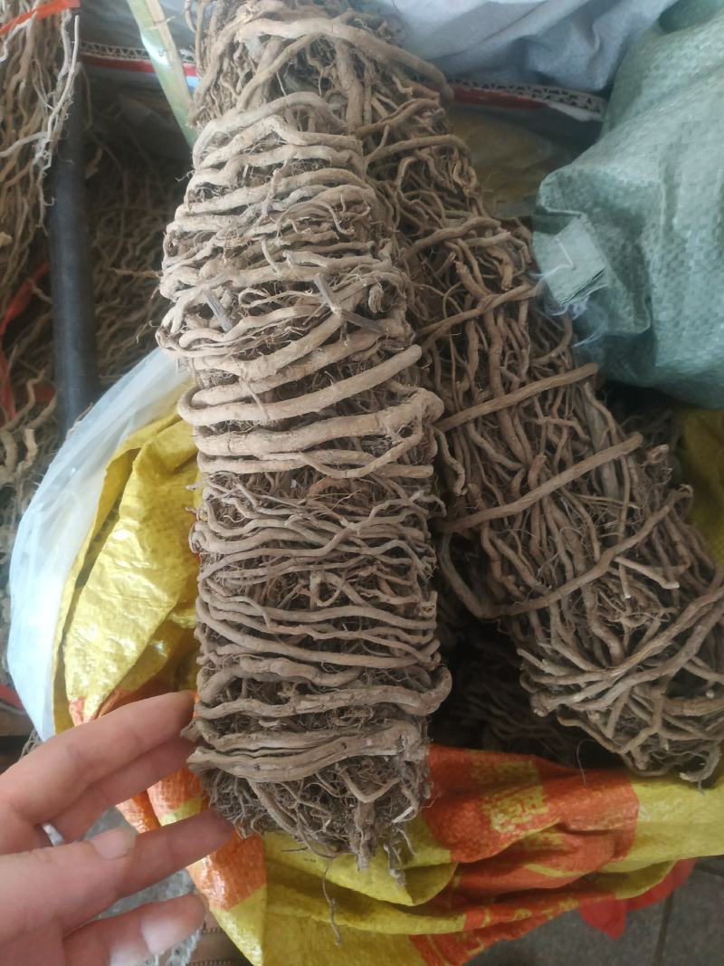 通城虎根～新货量大优惠～1公斤起售~诚信合作~