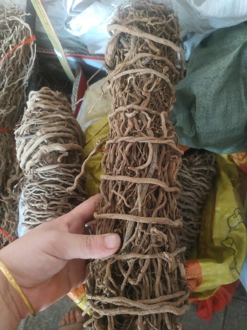 通城虎根～新货量大优惠～1公斤起售~诚信合作~