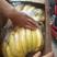 云南香蕉，广西香蕉，纯三把，各种高中低档次香蕉，产地直发
