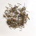 香薷香薷草保庆药业批发香薷