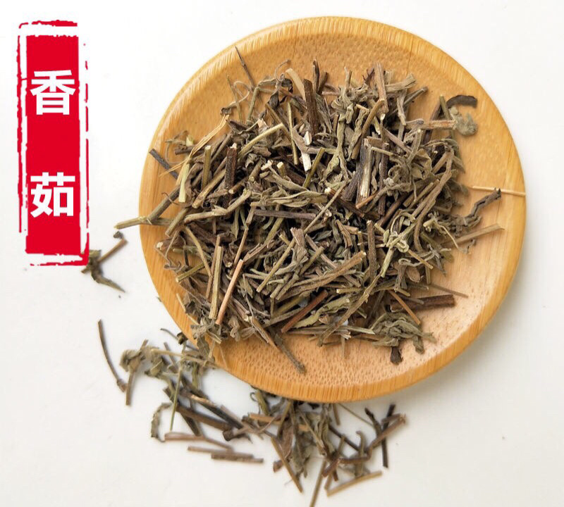 香薷香薷草保庆药业批发香薷