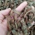 土荆皮，土金皮切片干净无杂质量保证！