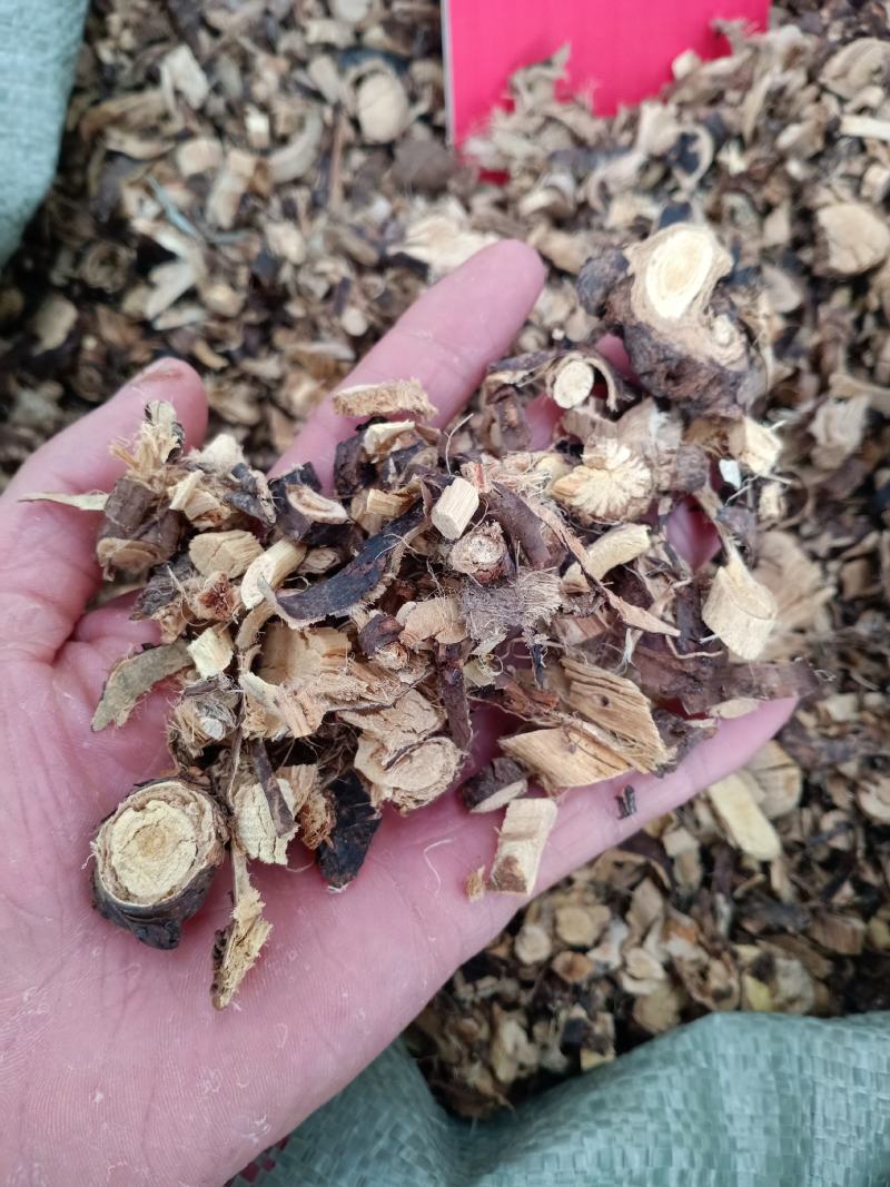 金雀根，金鸡儿根切片干净无杂质量保证！