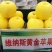 维纳斯黄金苹果苗，保品种，包技术，保成活，一棵也批发