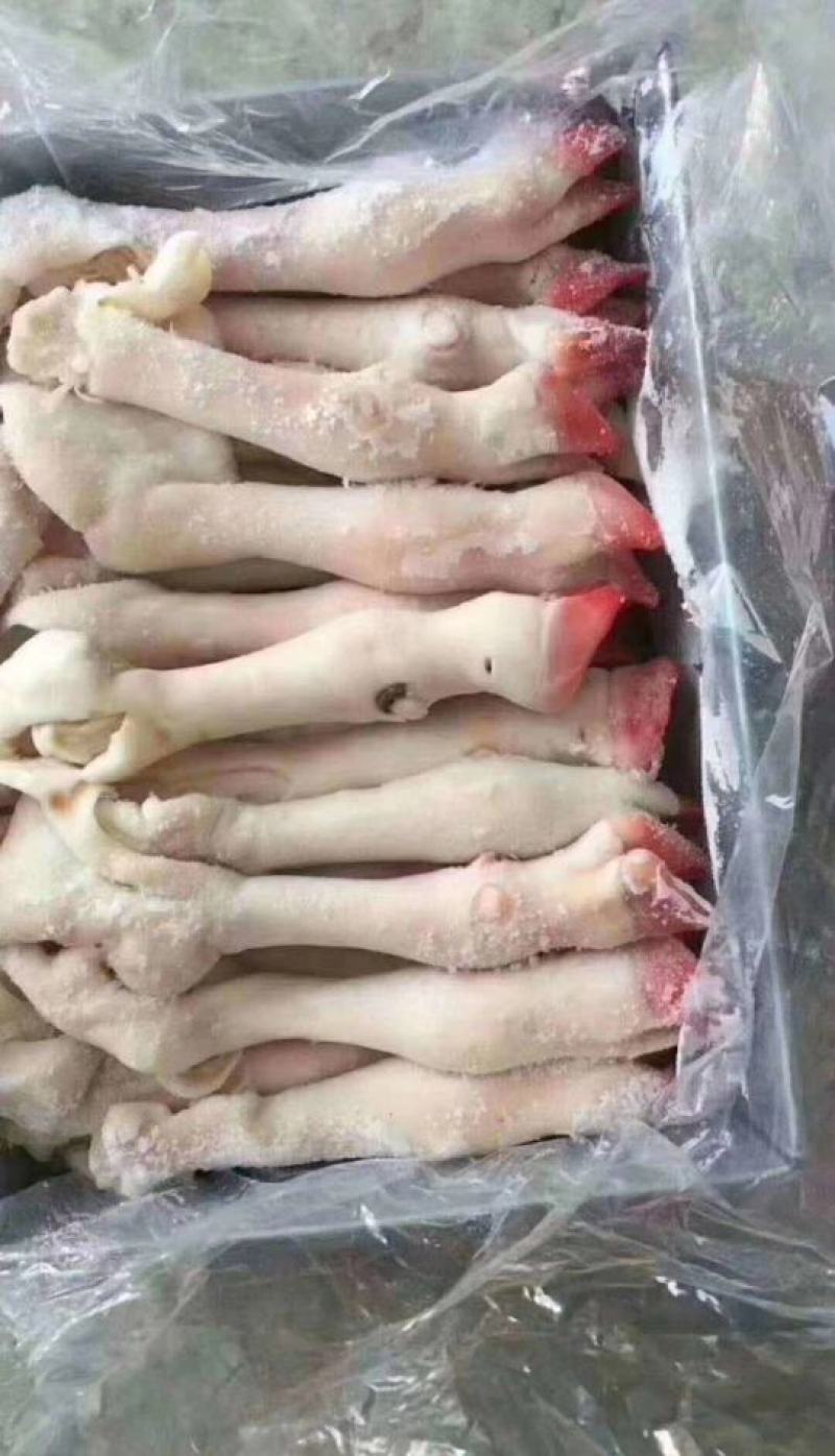 清真食品国产纯干羊蹄无冰可加工水退火烧