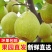 魏县鸭梨，一件代发纸箱加托快递包邮，日供应一万件能开发票