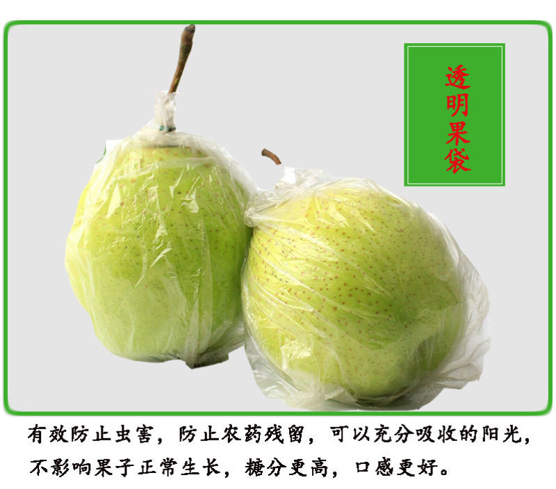 魏县鸭梨，一件代发纸箱加托快递包邮，日供应一万件能开发票