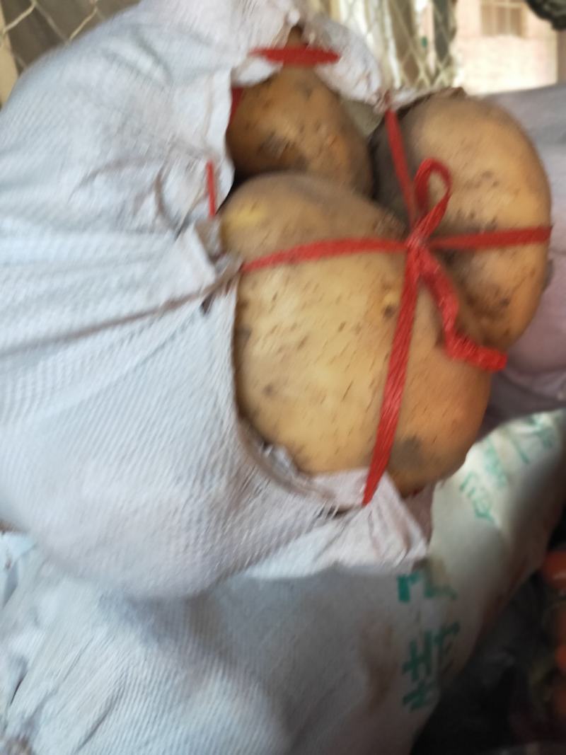 土豆，荷兰豆，品类齐全，丽暮226等，保质保量，