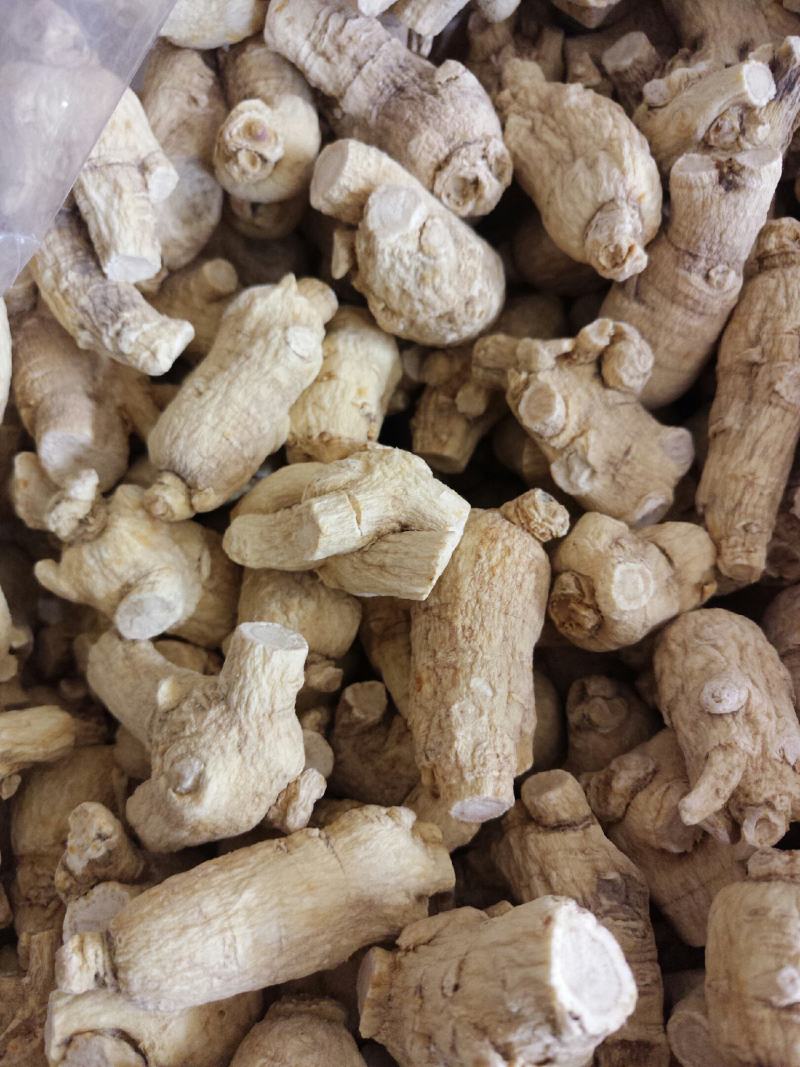 长白山西洋参粒头单支10g