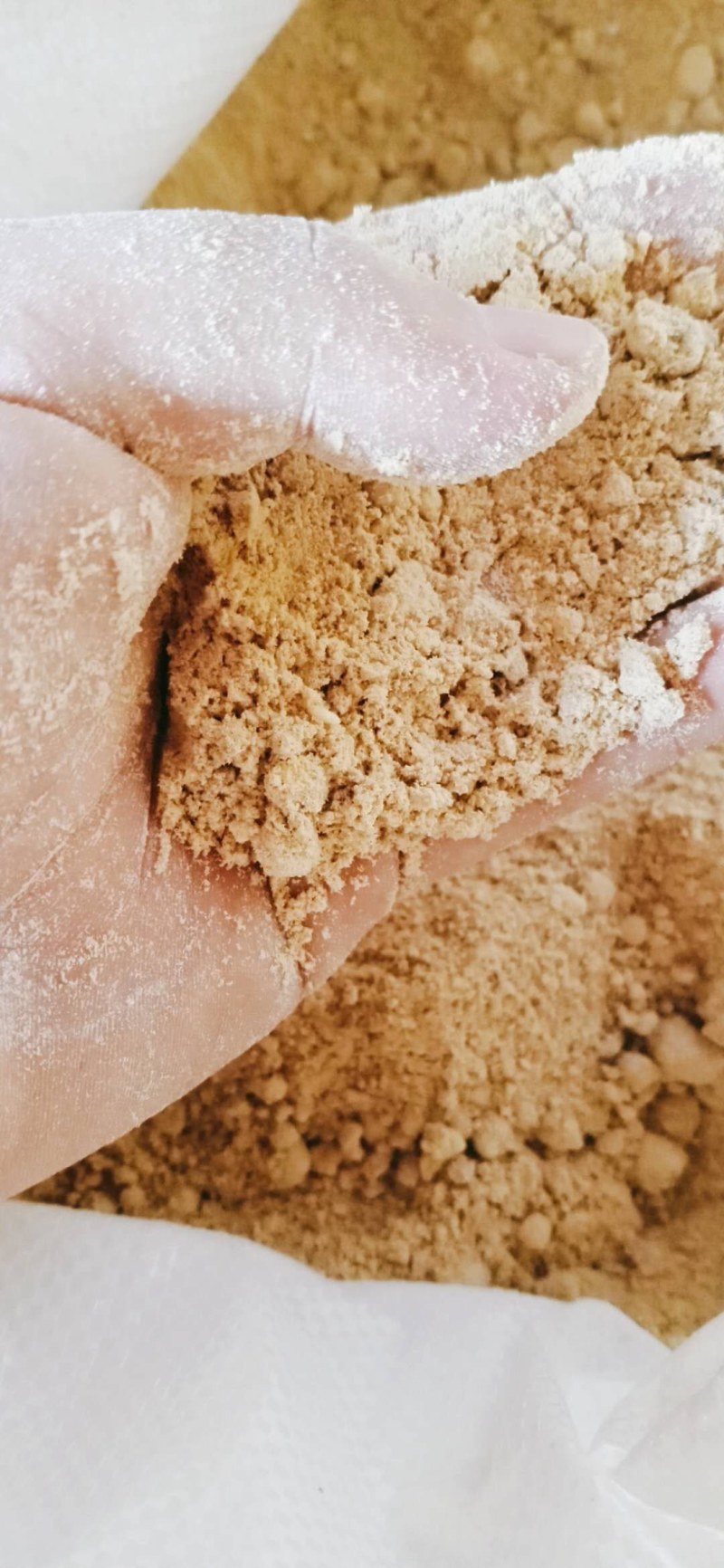 特价优惠厂家常年供应玉米次粉量大优质价格低廉实惠