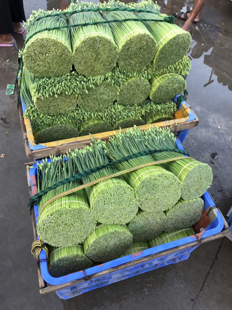 韭菜花25一35厘米