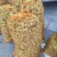 包山榛子大量上市，品种多质量好，颗粒饱满