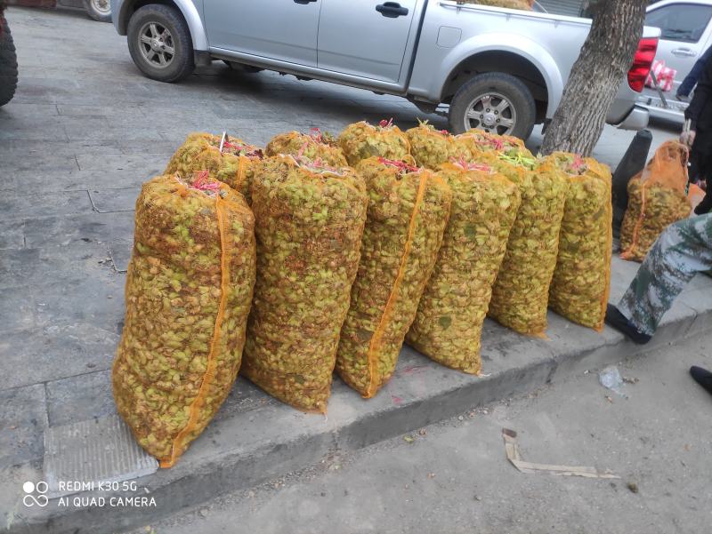 包山榛子大量上市，品种多质量好，颗粒饱满