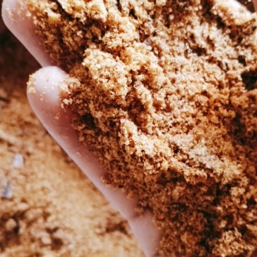 特价销售厂家常年供应玉米胚芽饼大量促销货源充足