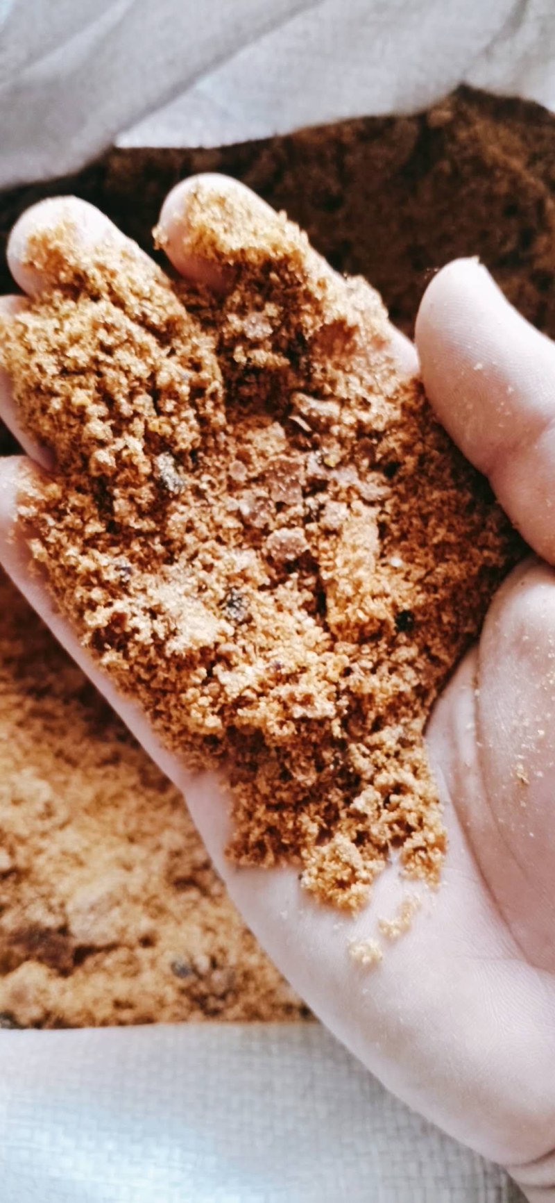 特价销售厂家常年供应玉米胚芽饼大量促销货源充足