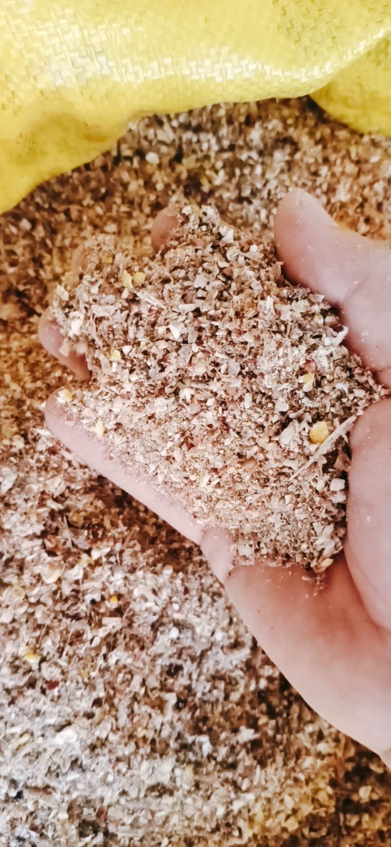厂家常年供应枣粉碎玉米，加工细致产品质量可靠欢迎抢购