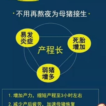 1产动力~缩短产程2小时，母猪产程长憋死小猪怎么办？