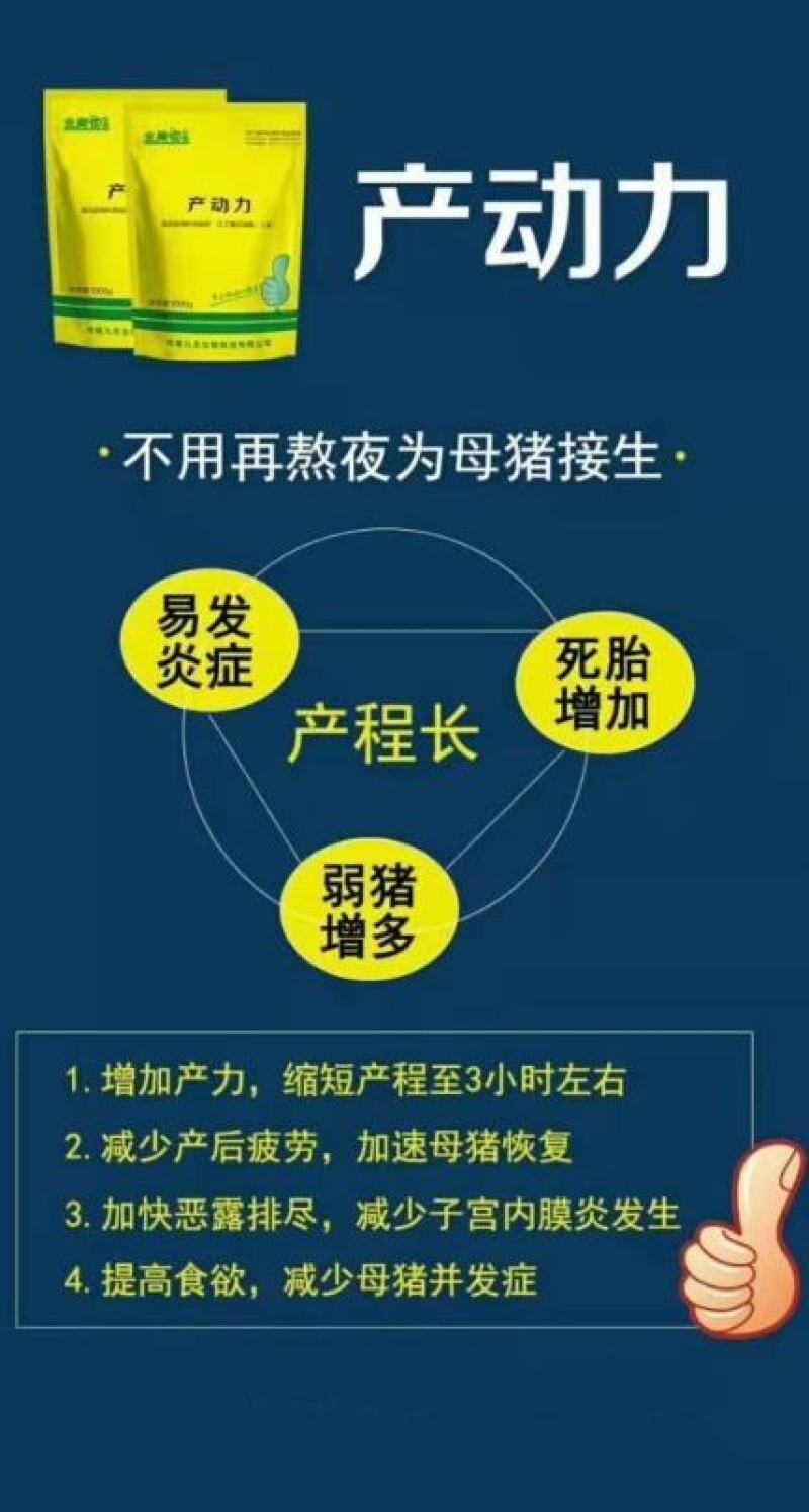 1产动力~缩短产程2小时，母猪产程长憋死小猪怎么办？