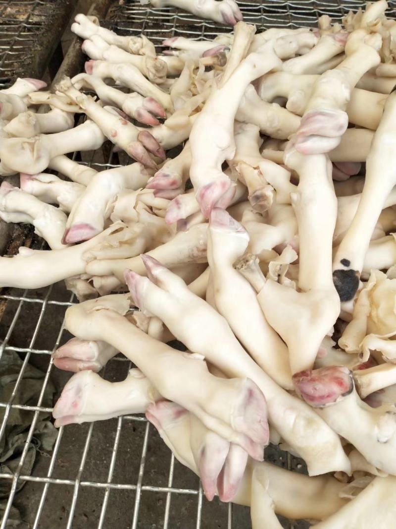 清真食品国产纯干羊蹄无冰可加工水退火烧