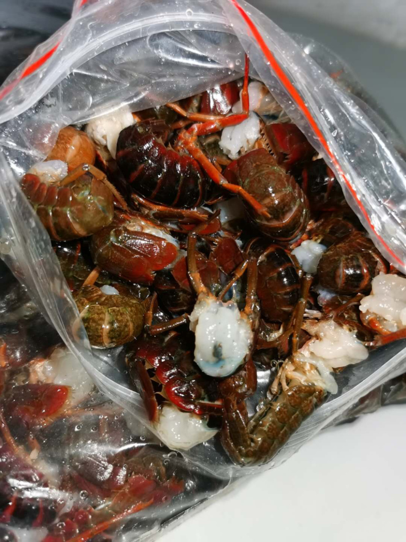 一级优质鲜虾尾两斤一袋支持全国发货