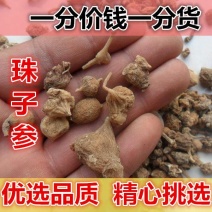 山间谷草珠子参扣子七500g纽子七猪儿参鞭三七