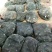 内蒙螃蟹，河蟹，大闸蟹