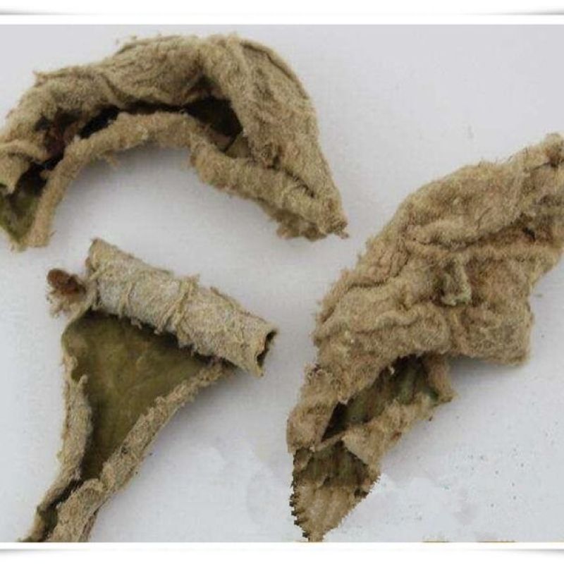 山间谷草岩白菜岩壁菜石白菜红岩七500g