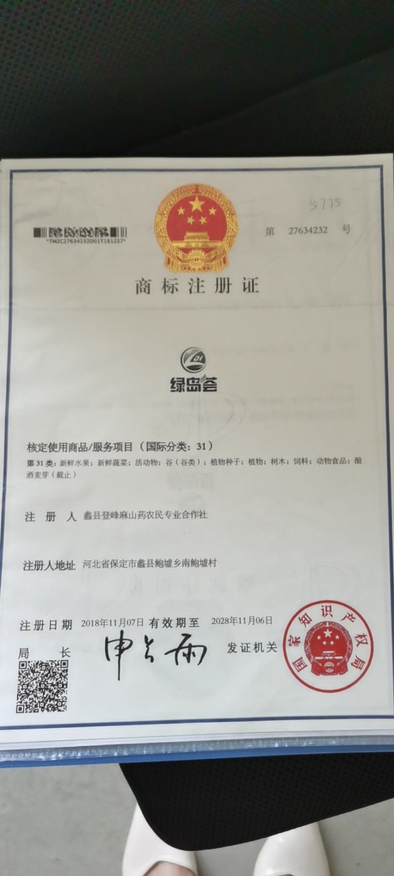 麻山药淮山棒山药毛山药产地直供一手货源货基地常年供货