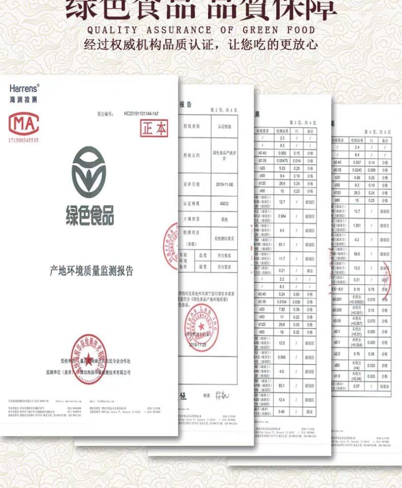 麻山药淮山棒山药毛山药产地直供一手货源货基地常年供货