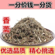 山间谷草香薷香茹香薷草香需香草500g包邮