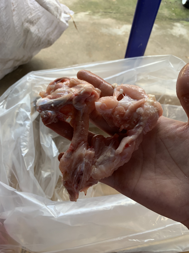 鸡叉骨每天都是最新生产的