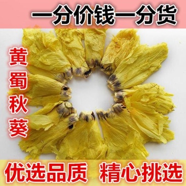 山间谷草黄葵花黄蜀葵花500g黄属葵花紫罗兰