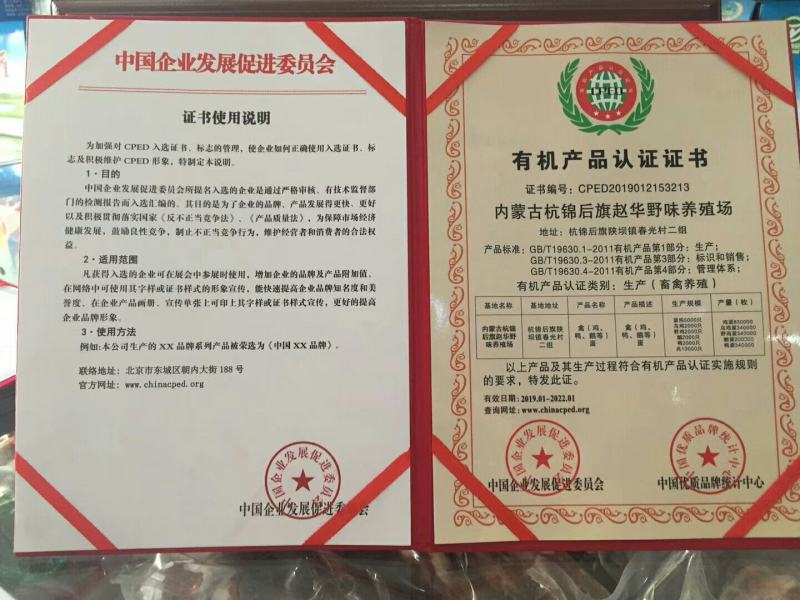 笨鸽现购现宰，真空塑封，6只起邮200只包邮