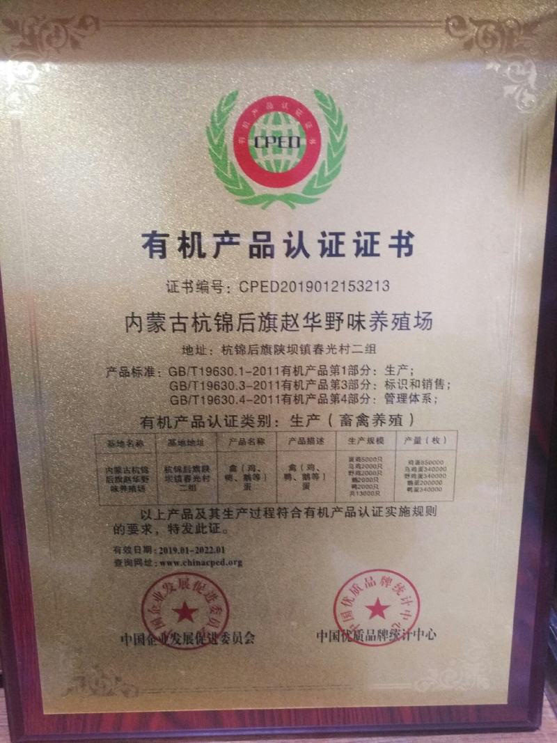 笨鸽现购现宰，真空塑封，6只起邮200只包邮
