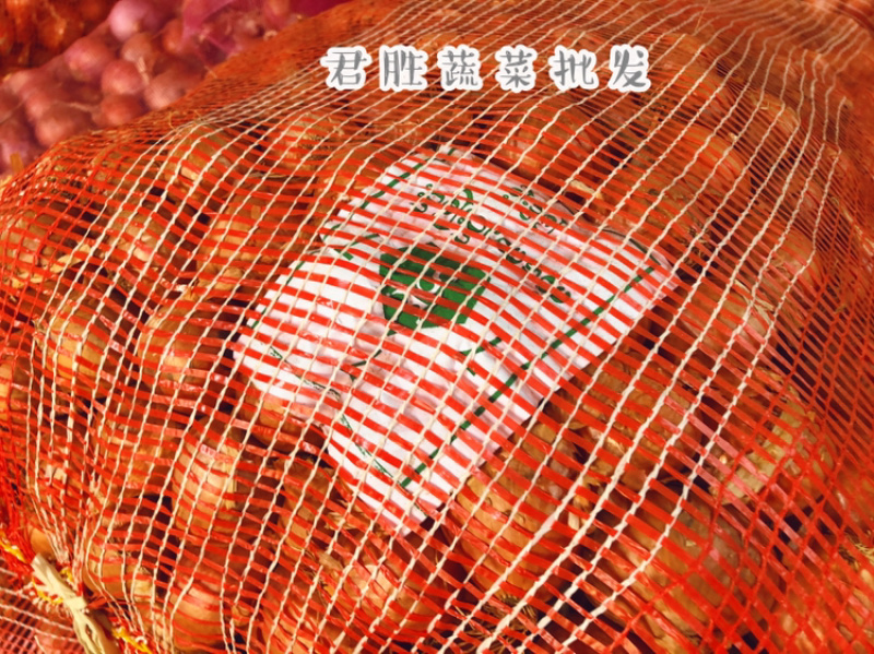 正宗缅甸小毛葱珠葱小洋葱🧅基地直供