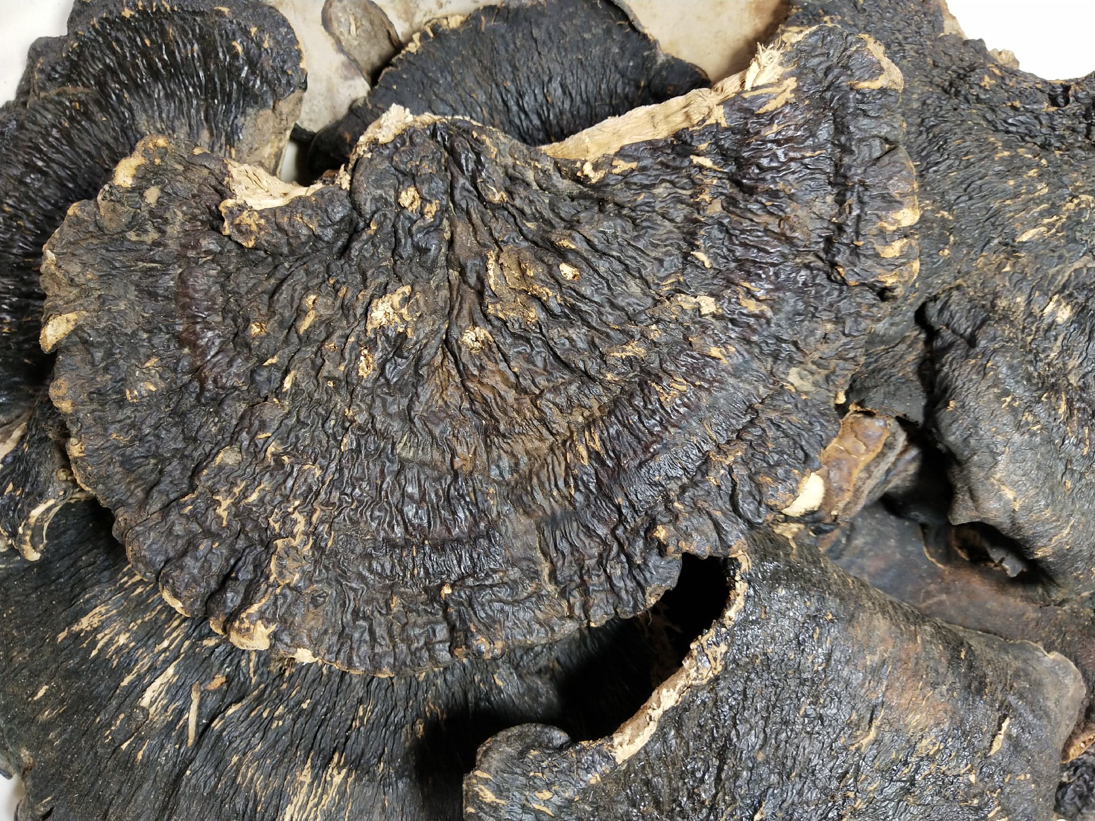 图中展示一杯牛奶与一小把黑芝麻的对比,突出黑芝麻的高钙含量 黑芝麻与牛奶的钙含量对比图