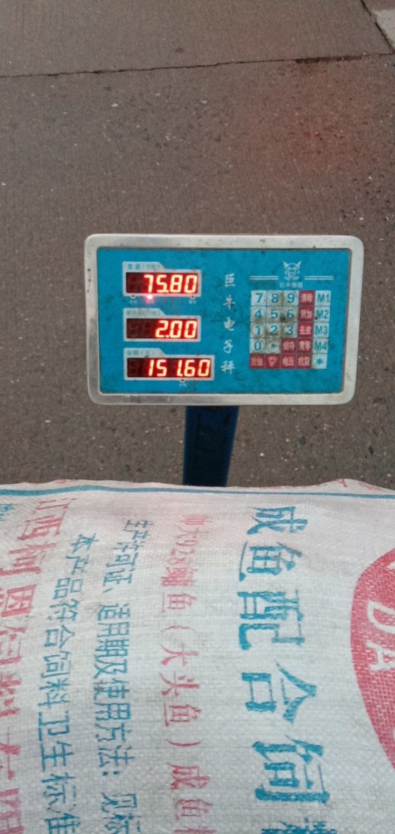 湖南省野生中药材“白蔹”鲜货供应，根茎类药材。