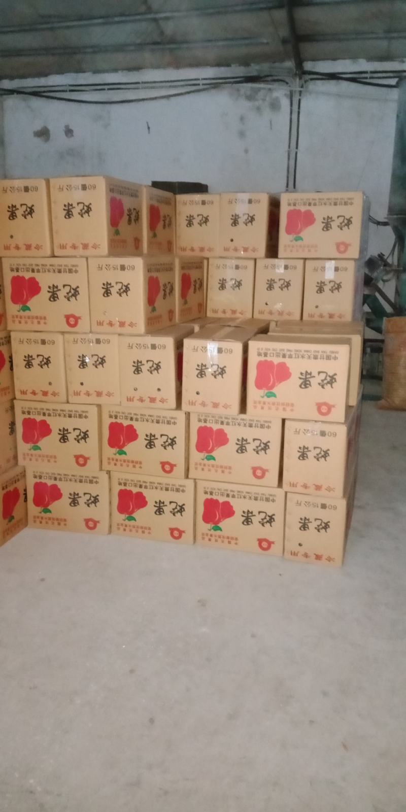 天水花牛苹果《代办》欢迎客商来定购