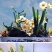 水仙花种球水培植物室内绿植盆栽水仙花种子四季种植花卉耐寒