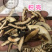 枳壳保庆药业批发枳壳实物拍摄量大从优炒枳壳